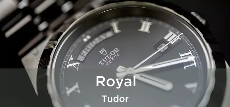  Royal Tudor